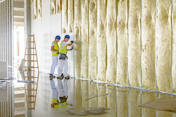 Types of Insulation We Offer in Alexandria, MN